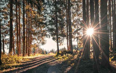 Waar gaat spiritualiteit voor jou over?